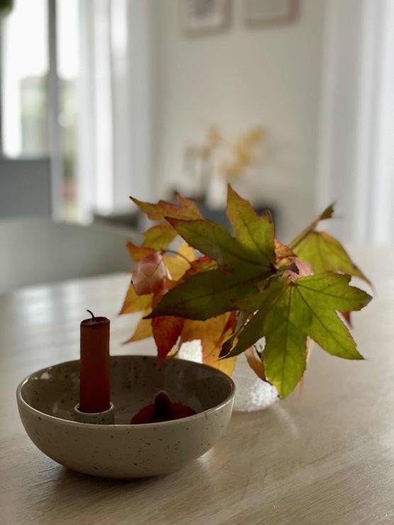 Bild von Levida Bild von Levida