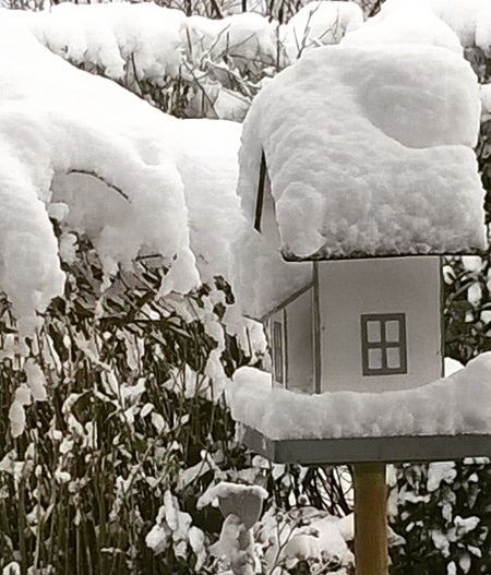 Winterlicher Gruß zum 2.Adventswochenende Winterlicher Gruß zum 2.Adventswochenende