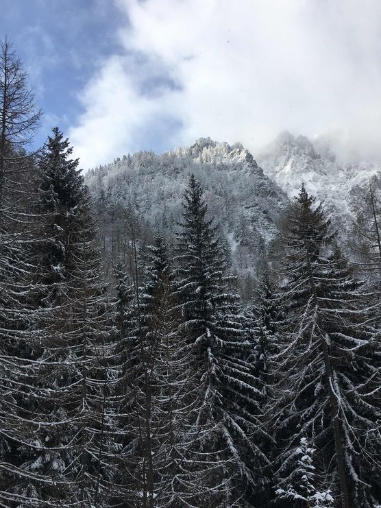 Bild von Cooperdelight Bild von Cooperdelight