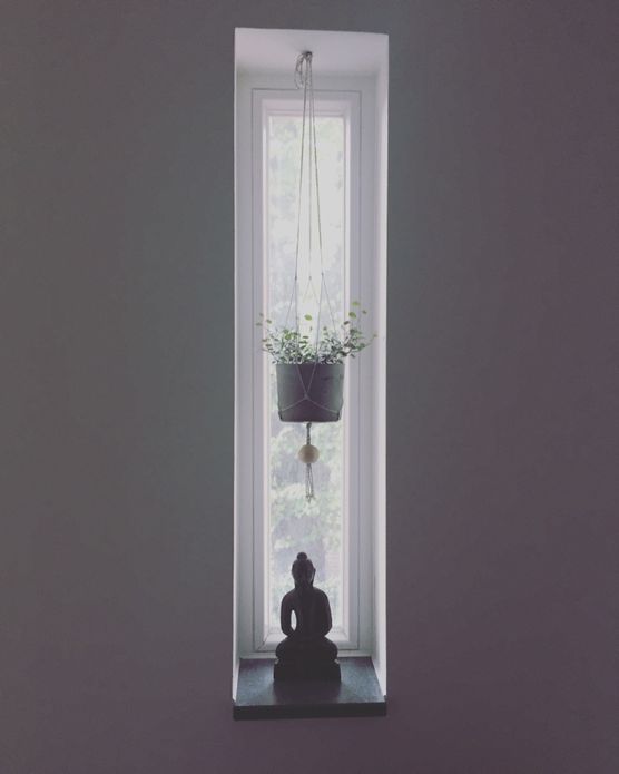 Mein Lieblingsfenster Mein Lieblingsfenster