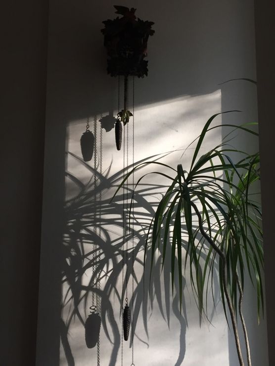 Licht und Schatten Licht und Schatten