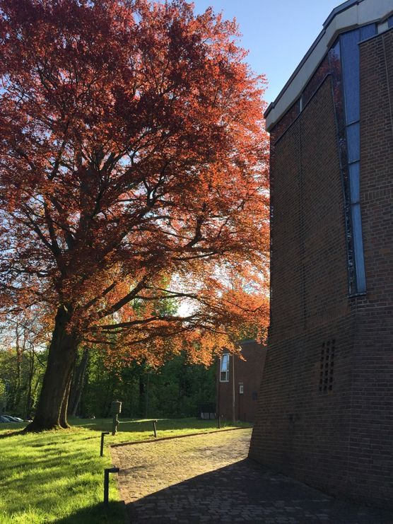 Sonne am Kloster Sonne am Kloster