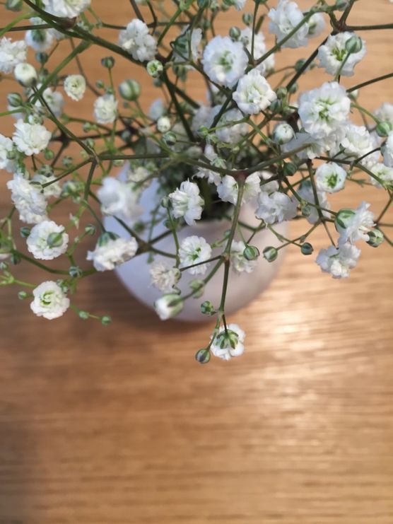 Blumen für die Seele Blumen für die Seele