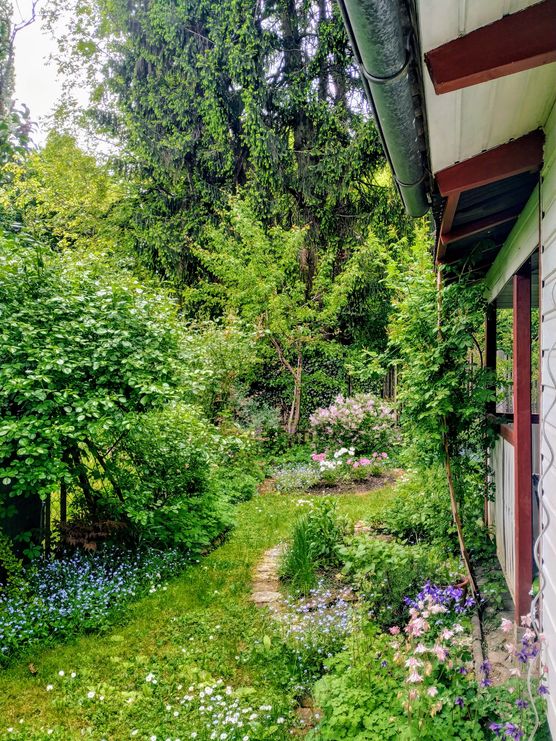 der alljährliche lieblingsblick hinter der alljährliche lieblingsblick hinter