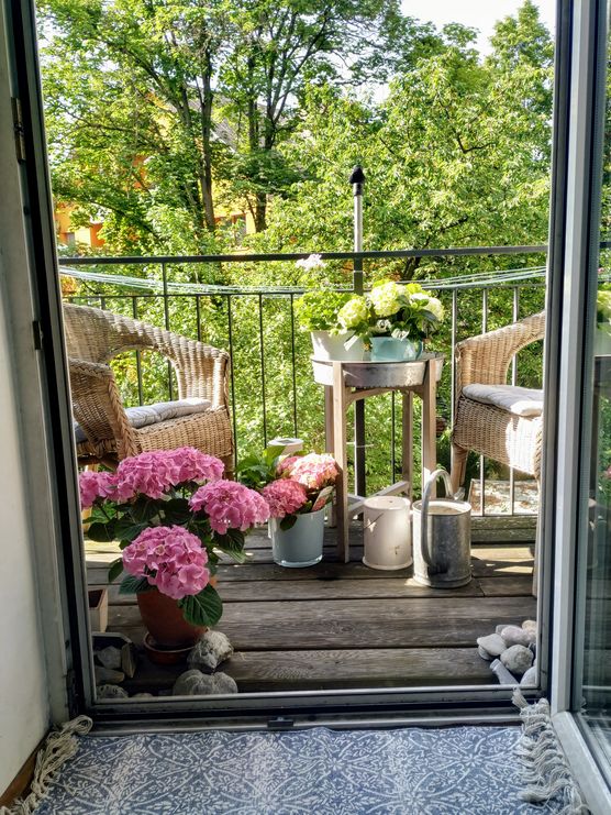 frühstückskaffee am balkon ...
und frühstückskaffee am balkon ...
und