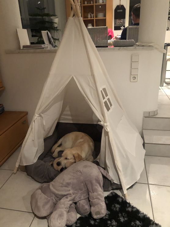 Wegen unserem neuen Familienmitglied Wegen unserem neuen Familienmitglied