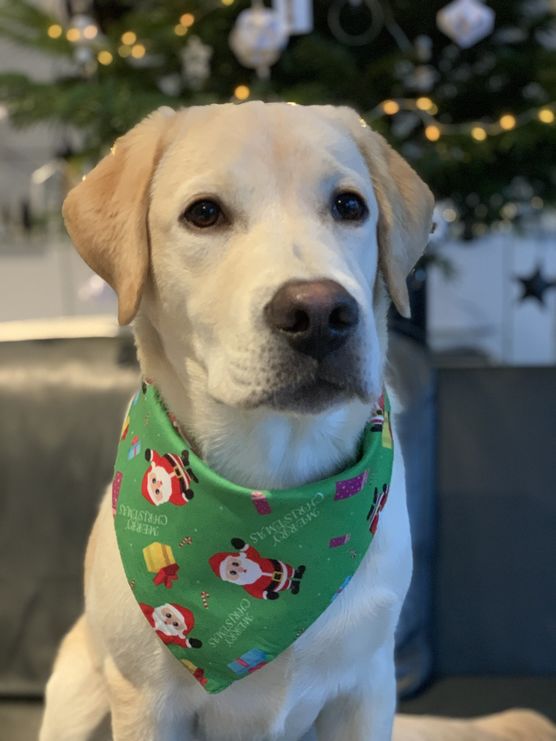 💚 Mika 💚 wartet 💚 Mika 💚 wartet