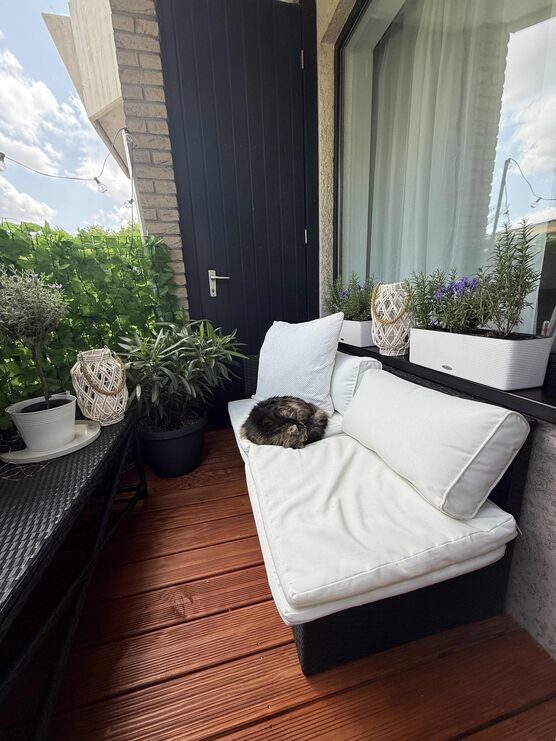 Bild von Rheinselig Bild von Rheinselig