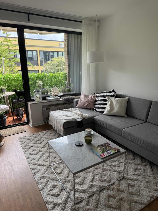 Bild von Rheinselig Bild von Rheinselig