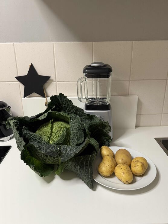 Bild von Rheinselig Bild von Rheinselig