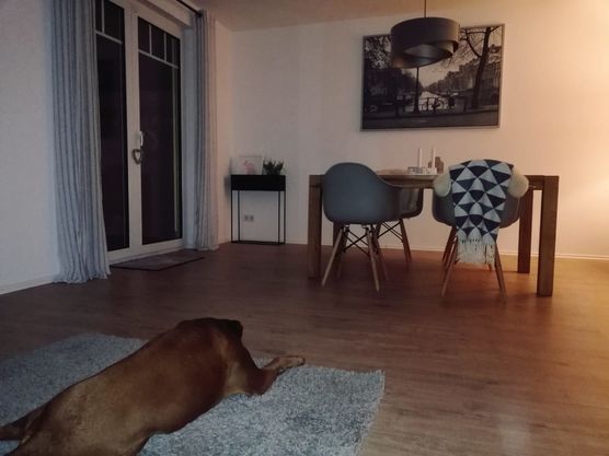 Einfach den Abend genießen Einfach den Abend genießen
