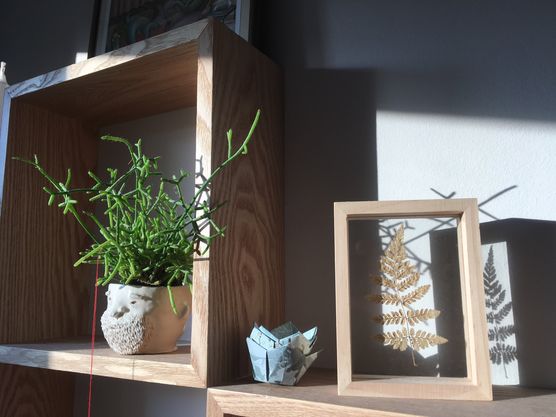 Das Übertöpfchen haben wir Das Übertöpfchen haben wir