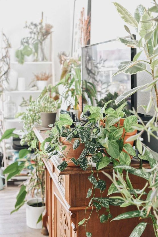 Bild von andrea_bln Bild von andrea_bln