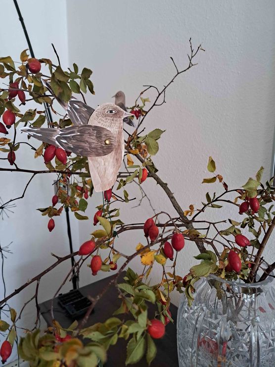 Bild von carimari Bild von carimari