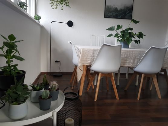 Viel grün und ein Viel grün und ein