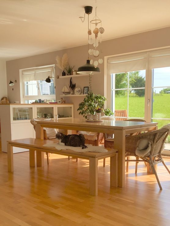 Aussichtsplatzbesetzer 😁 immer ist Aussichtsplatzbesetzer 😁 immer ist