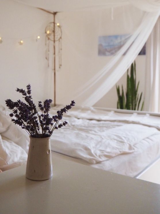 Lavendel 💜 Lavendel 💜