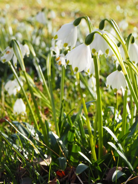 Endlich auch bei uns Endlich auch bei uns