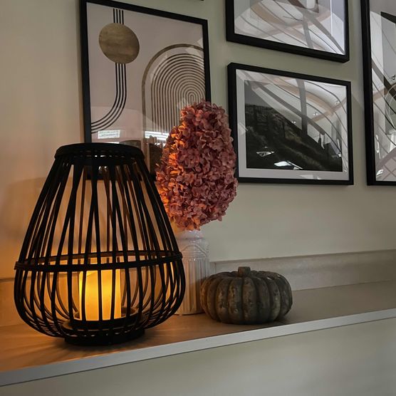 Bild von Patrice Mc Cormack Bild von Patrice Mc Cormack