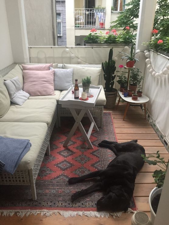 Die Vorfreude steigt von Die Vorfreude steigt von