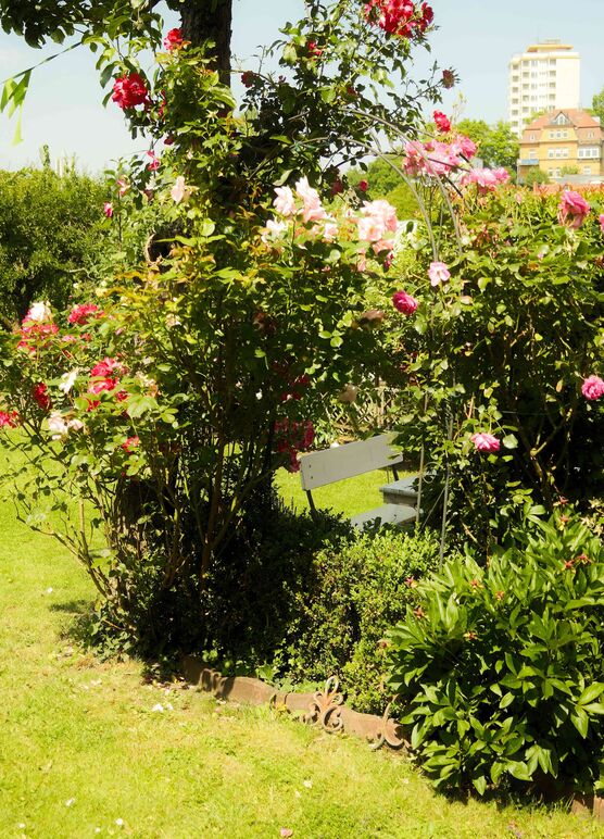 Bild von Buschkranz Bild von Buschkranz