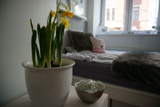 Cosy space Cosy space