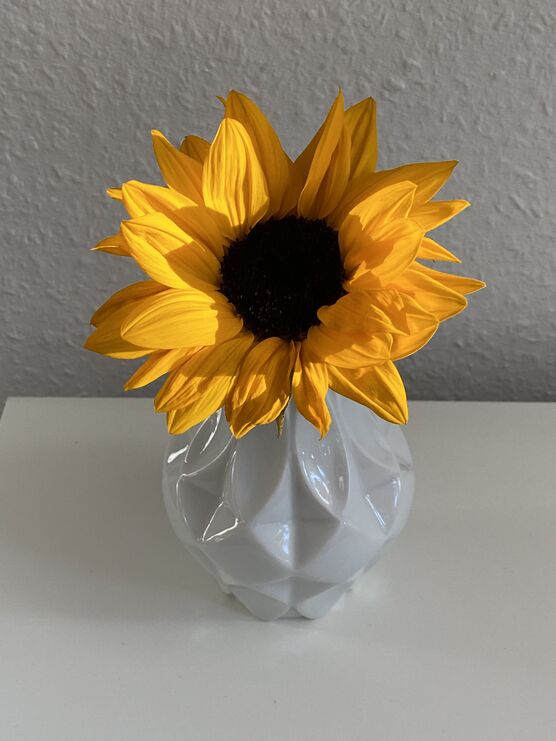 🌻☀️ Eine kleine Oktober-Sonne 🌻☀️ Eine kleine Oktober-Sonne