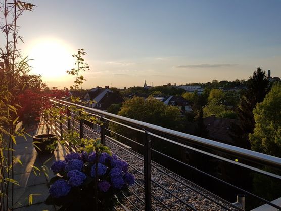 Über den Dächern der Über den Dächern der