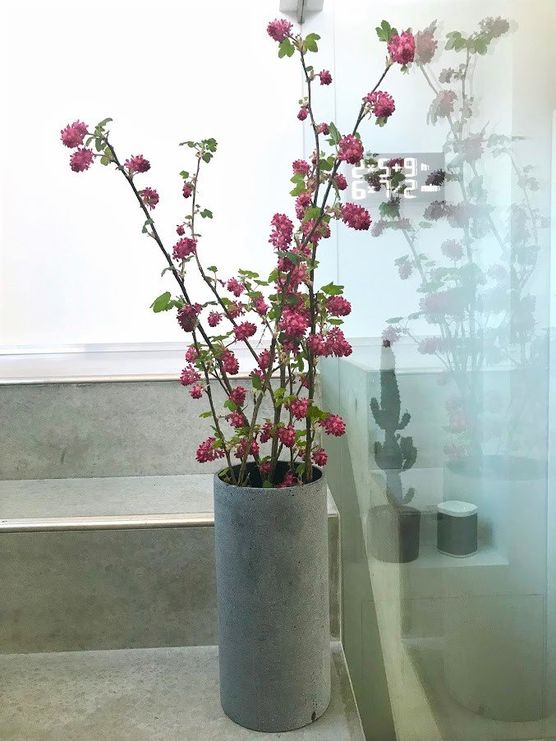 Es blüht im Beton... Es blüht im Beton...