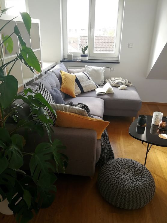 Bild von Godia Bild von Godia