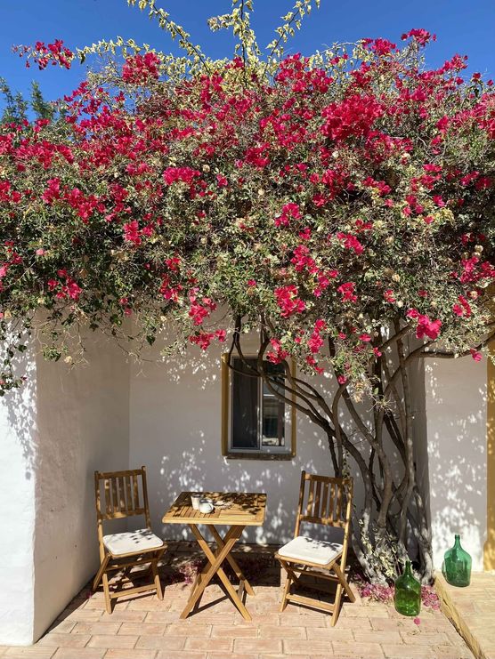 Bild von die Hannah Bild von die Hannah