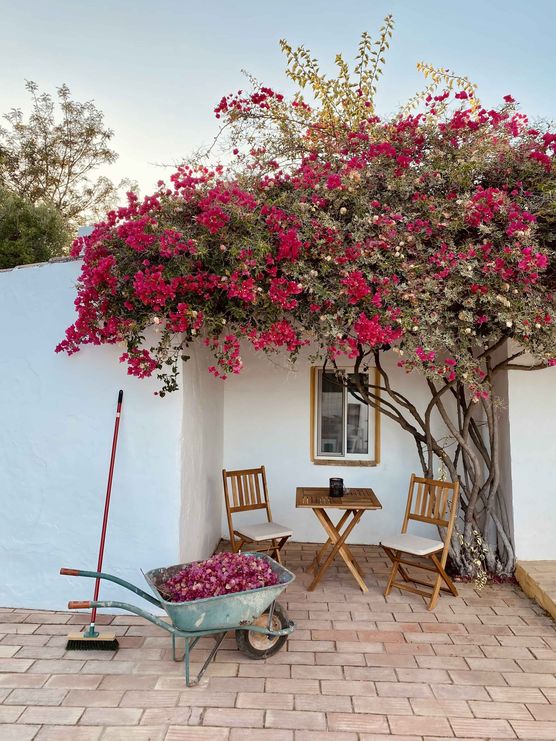 Bild von die Hannah Bild von die Hannah