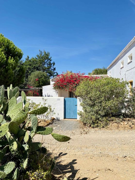 Bild von die Hannah Bild von die Hannah