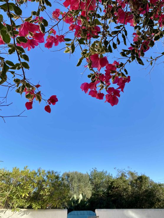 Bild von die Hannah Bild von die Hannah