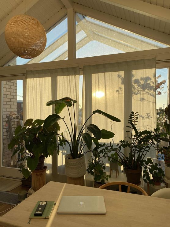 Bild von die Hannah Bild von die Hannah