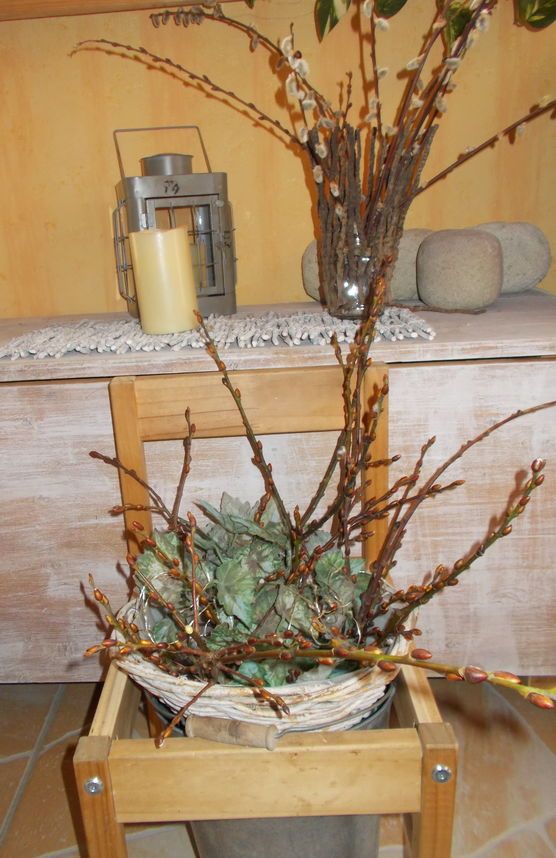 Kätzchen alt und frisch Kätzchen alt und frisch