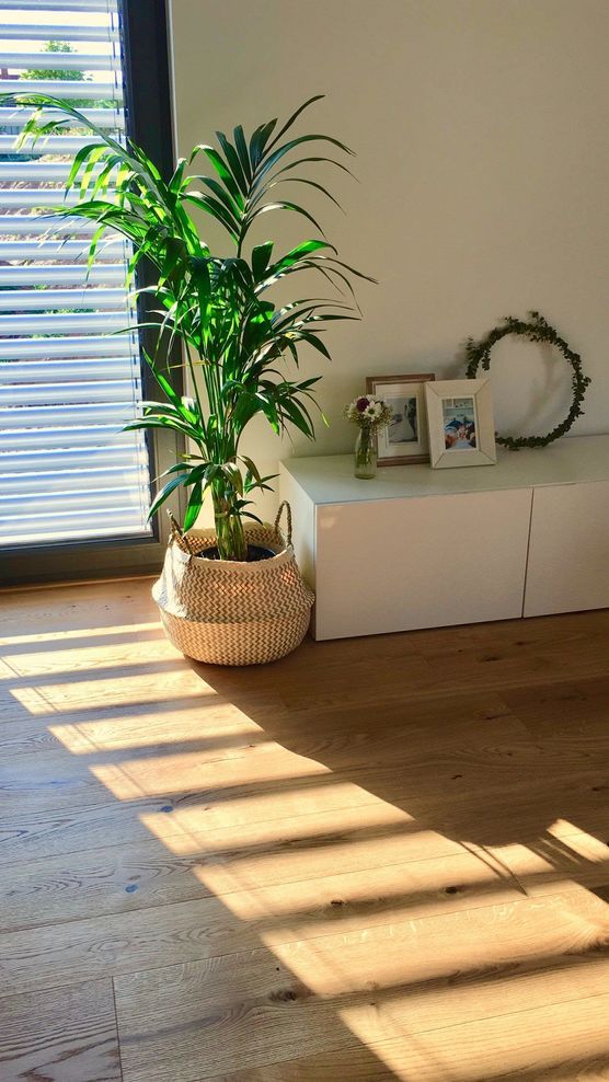 Lichtspiele Lichtspiele