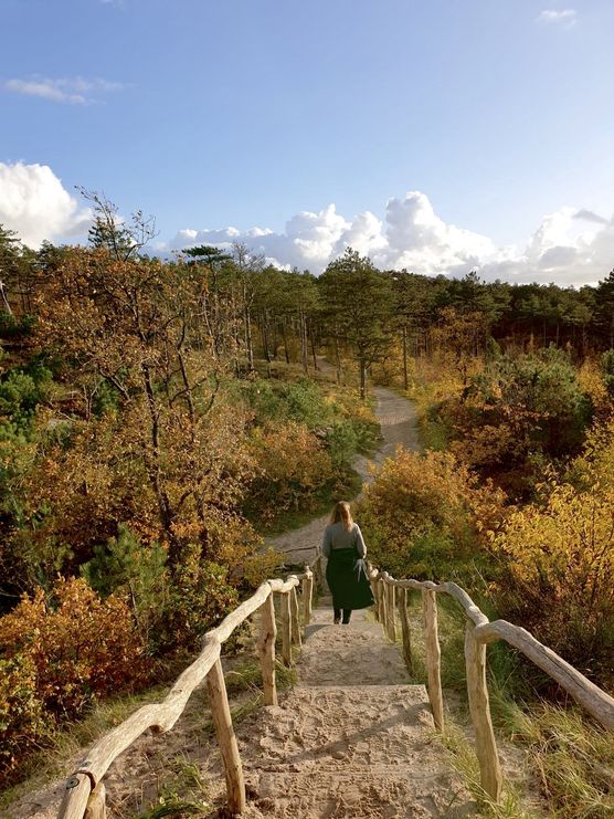 Rück(en)ansicht in den/der Dünen Rück(en)ansicht in den/der Dünen