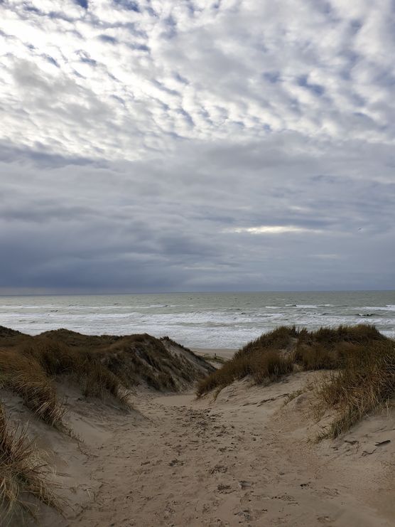 Wintersparziergang am Meer
Der Wind Wintersparziergang am Meer
Der Wind