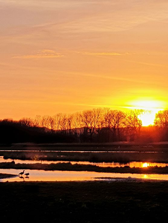 Gute Nacht 🦆 Gute Nacht 🦆