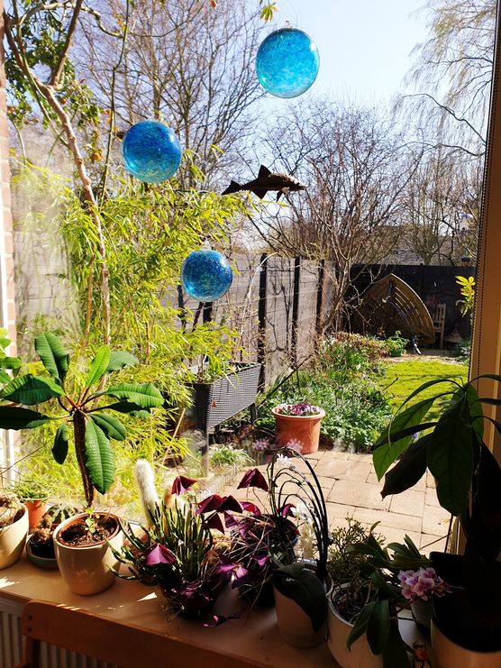 ☀️🐟 Gute Aussicht(en)🐟☀️
☀️🐟 Gute Aussicht(en)🐟☀️