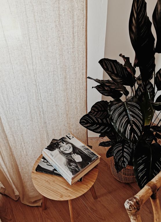 Neue Ecke im neuen Neue Ecke im neuen