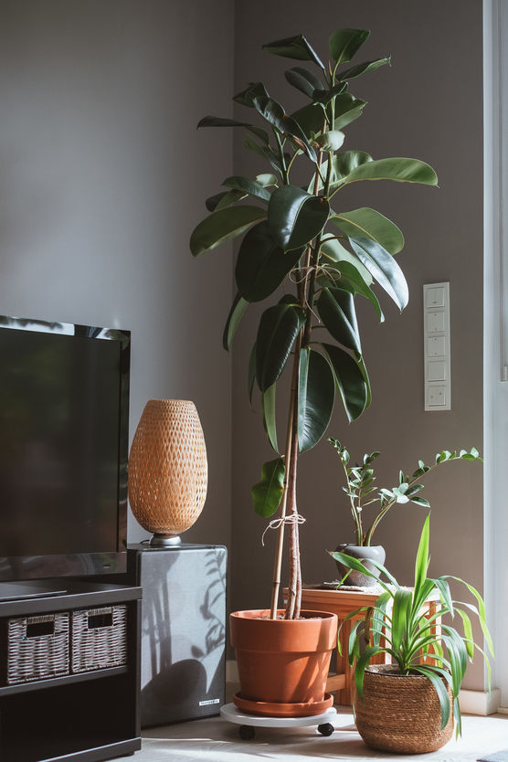 Nur mal schnell hingestellt Nur mal schnell hingestellt