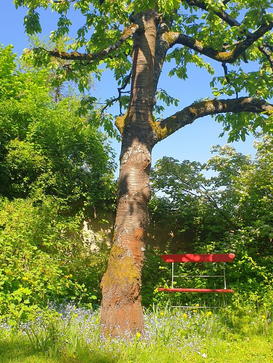 Die alte Bank war Die alte Bank war