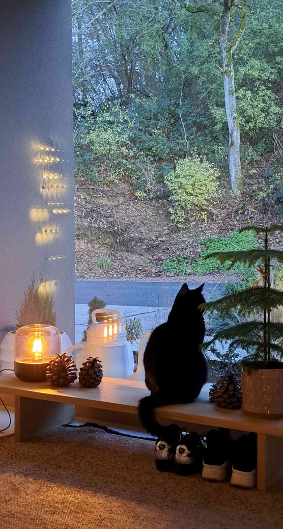 Bild von meeke Bild von meeke