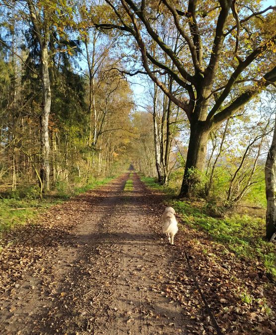 Bild von el. Bild von el.