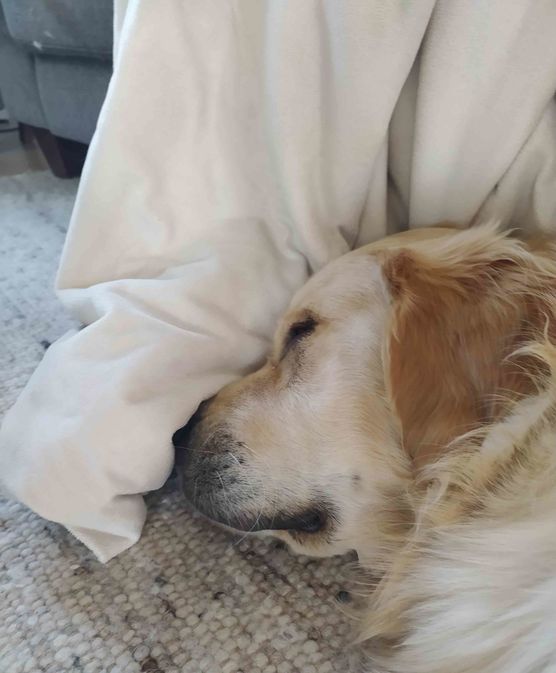 Bild von el. Bild von el.