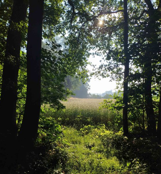 Bild von el. Bild von el.