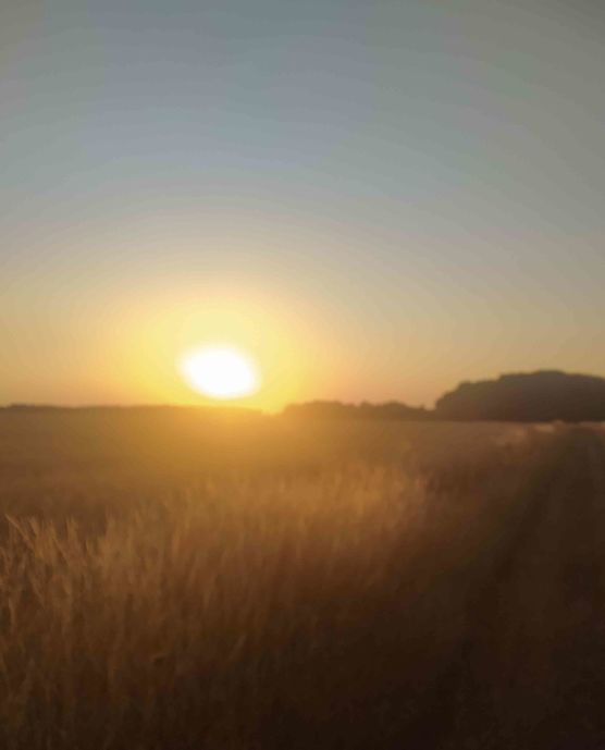 Bild von el. Bild von el.