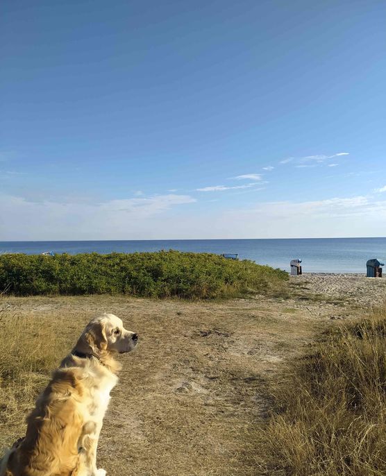 Bild von el. Bild von el.